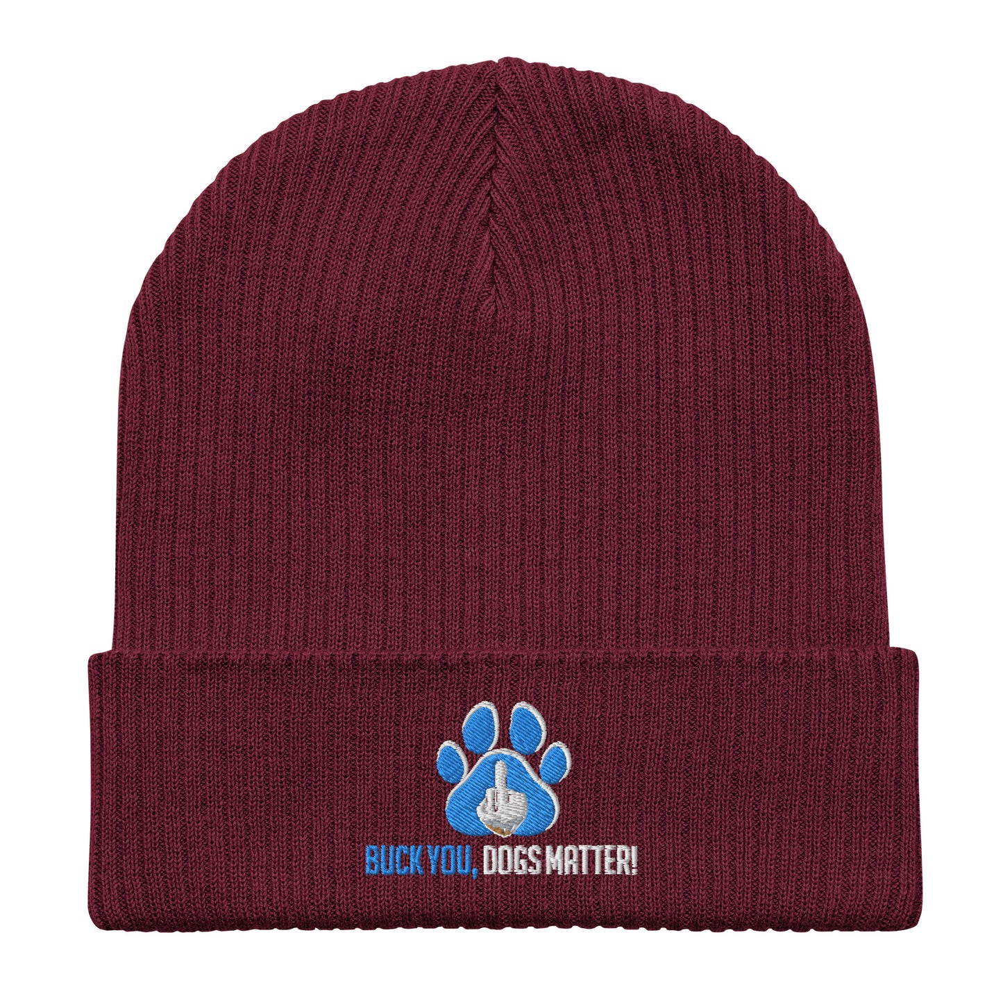 Organic Ribbed Beanie | Atlantis