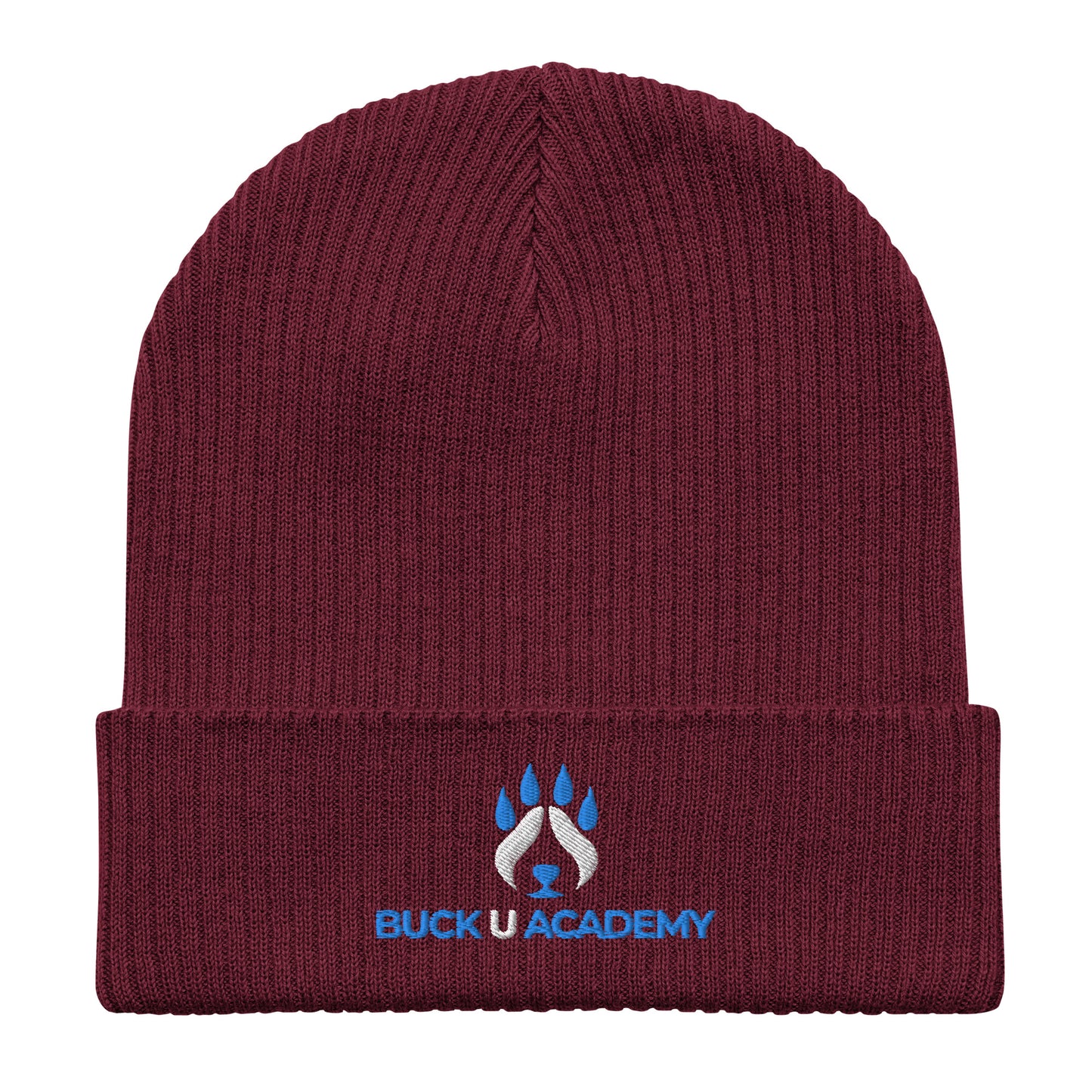 Organic Ribbed Beanie | Atlantis