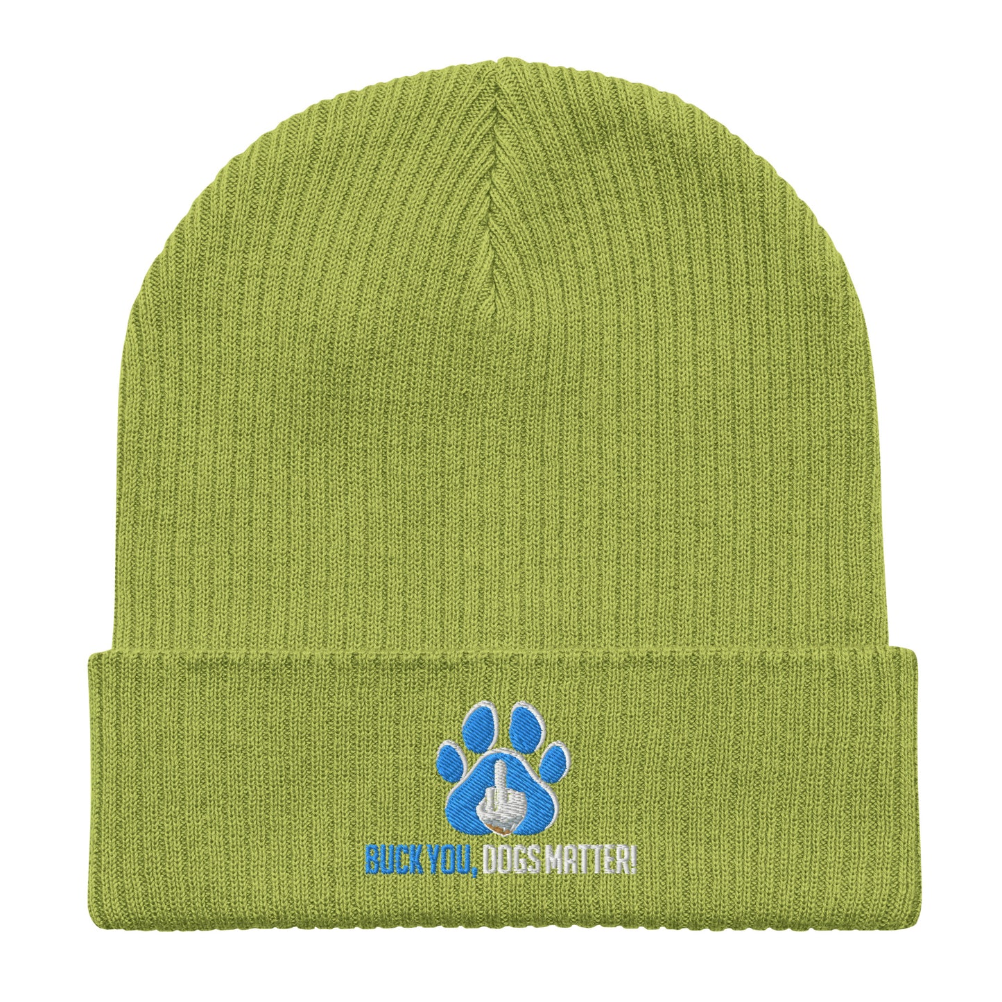 Organic Ribbed Beanie | Atlantis