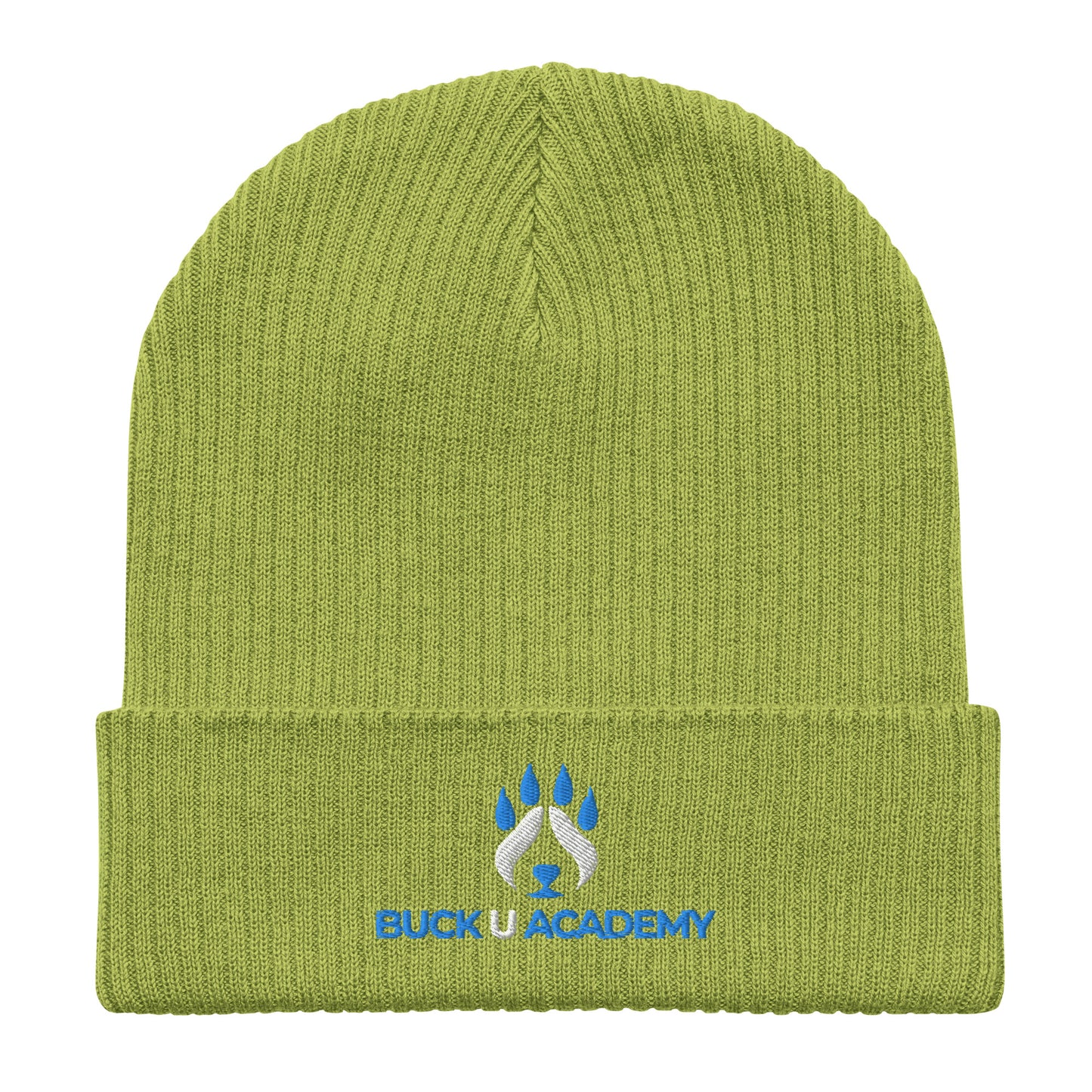Organic Ribbed Beanie | Atlantis