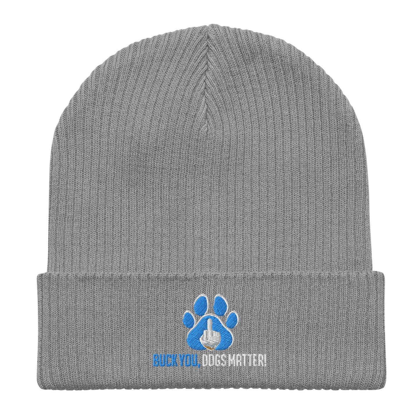 Organic Ribbed Beanie | Atlantis