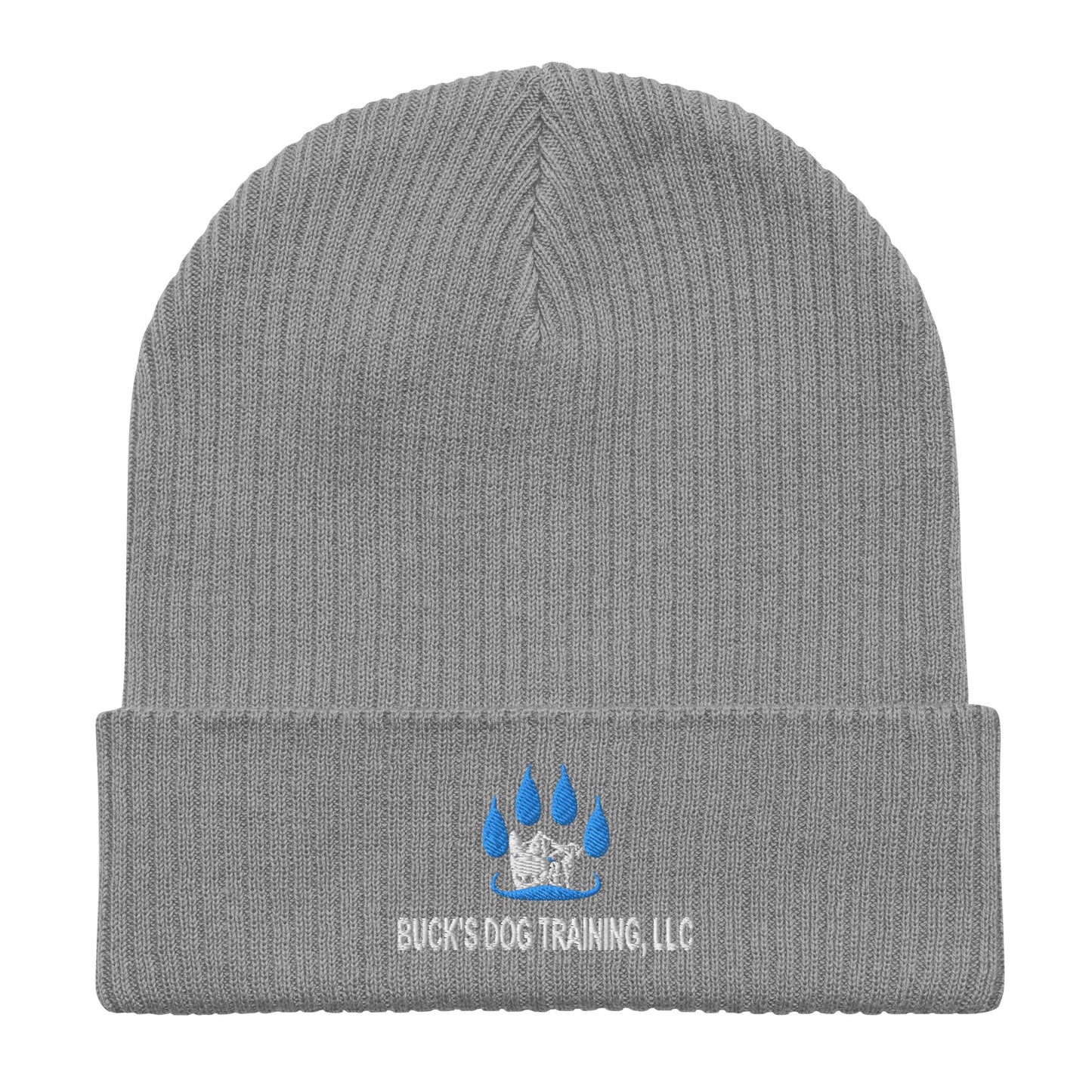 Organic Ribbed Beanie | Atlantis