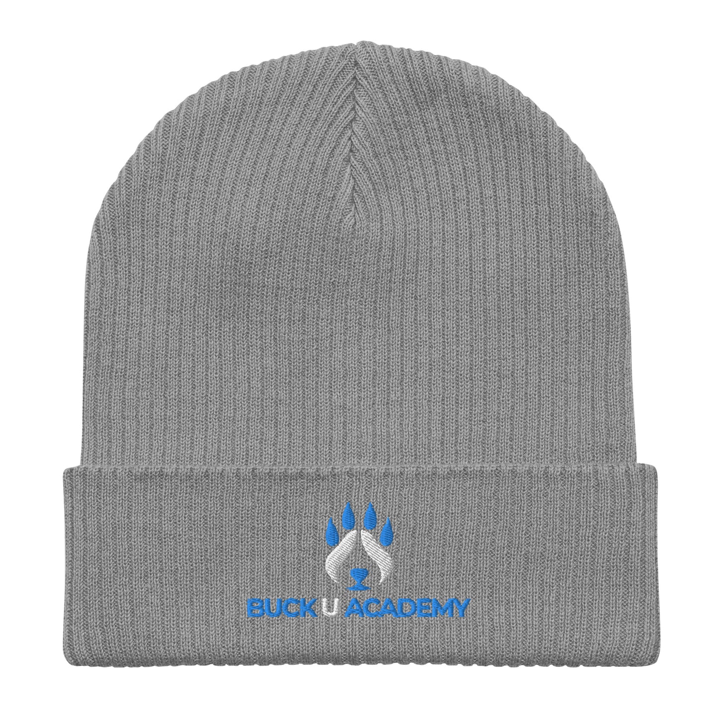 Organic Ribbed Beanie | Atlantis