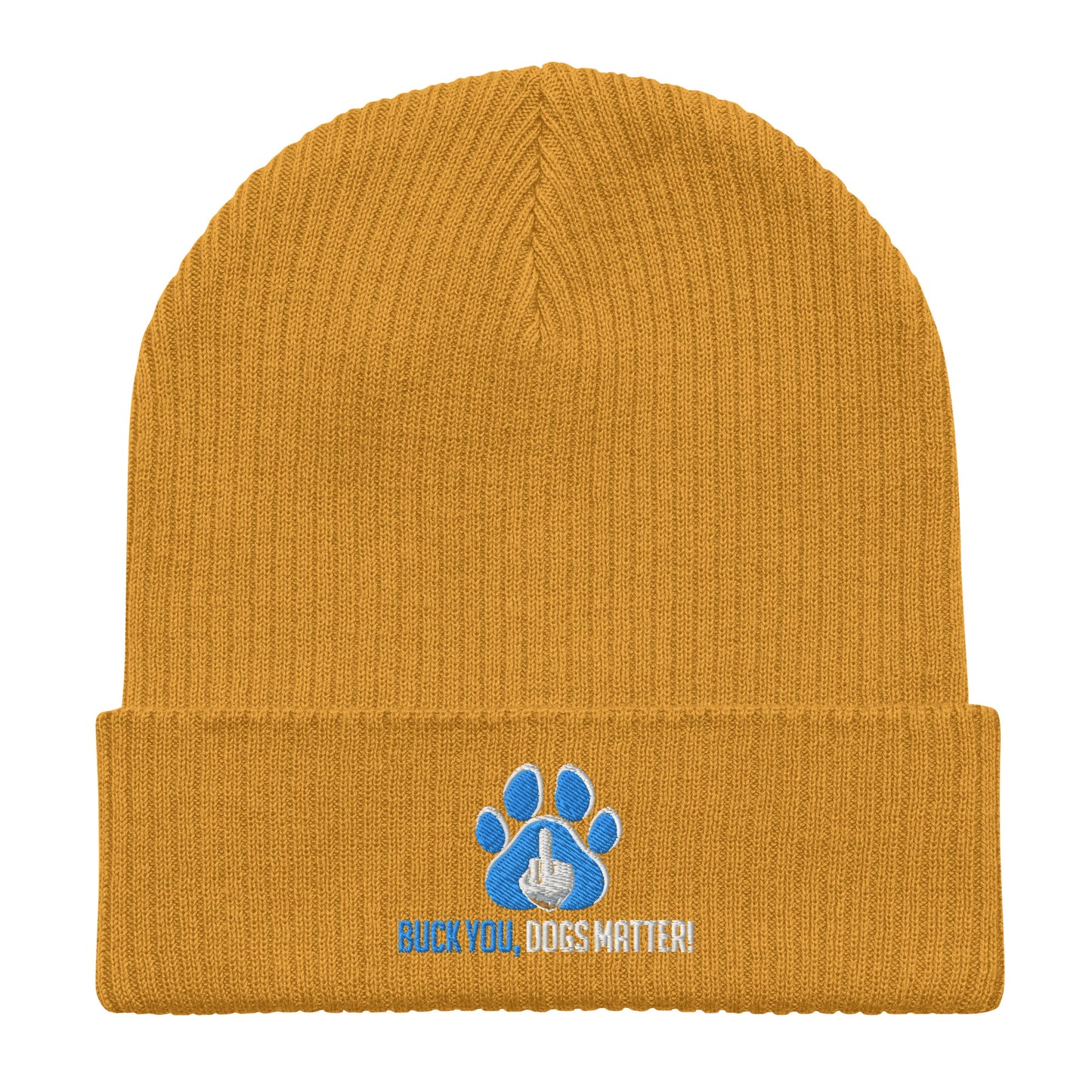 Organic Ribbed Beanie | Atlantis