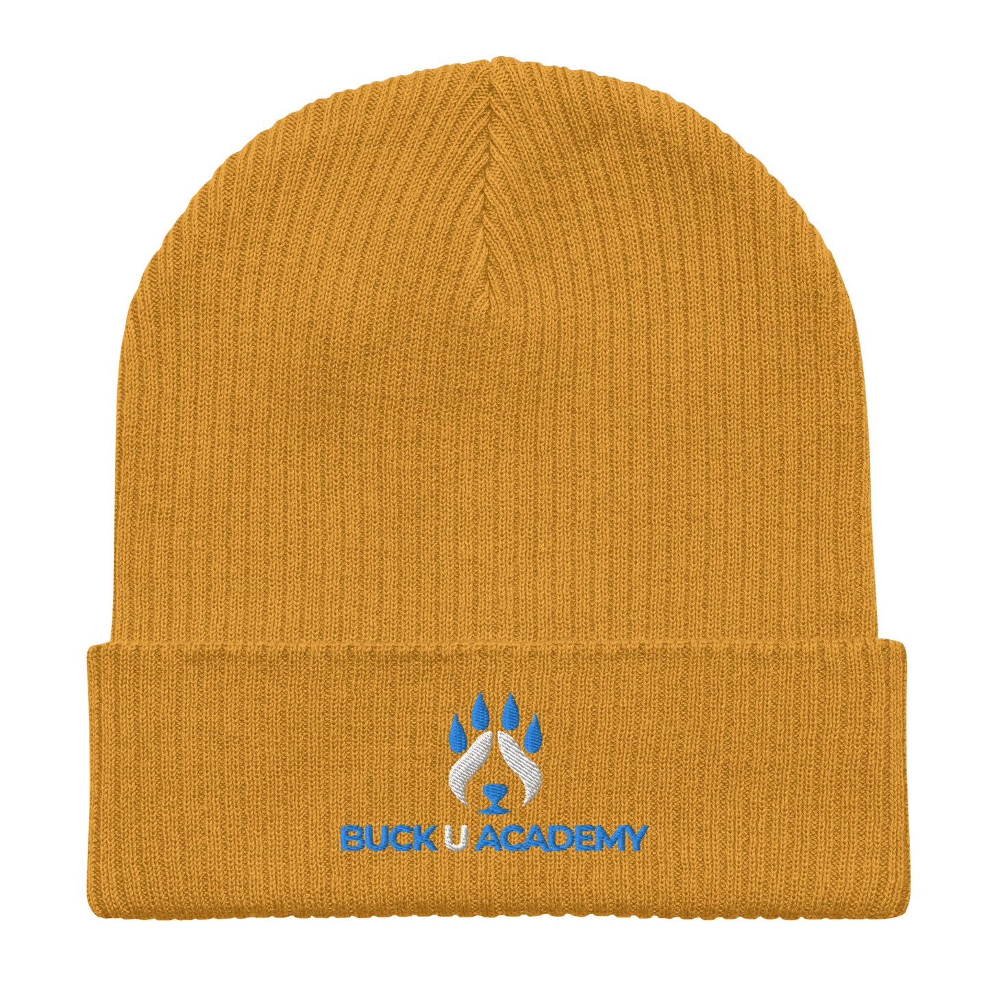 Organic Ribbed Beanie | Atlantis