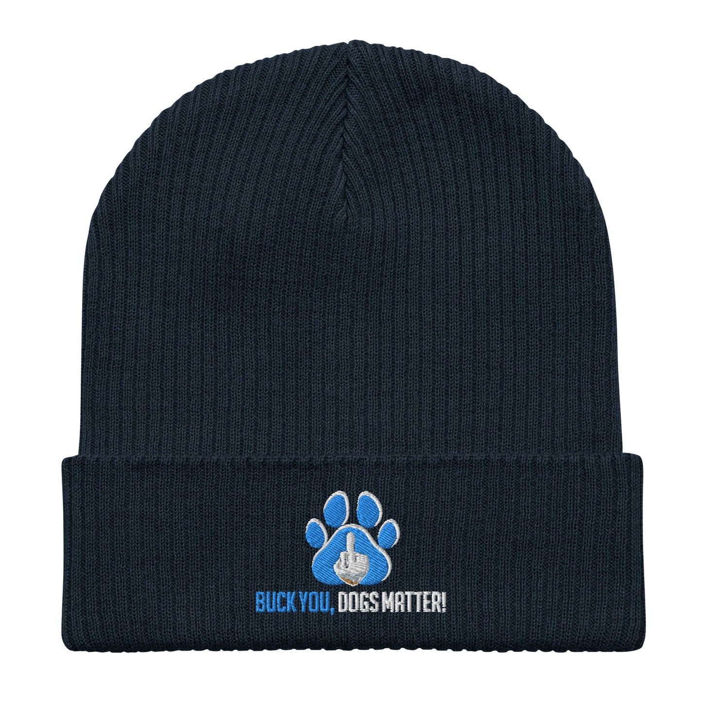 Organic Ribbed Beanie | Atlantis