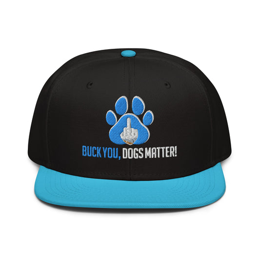 Snapback | Otto Cap 125-978