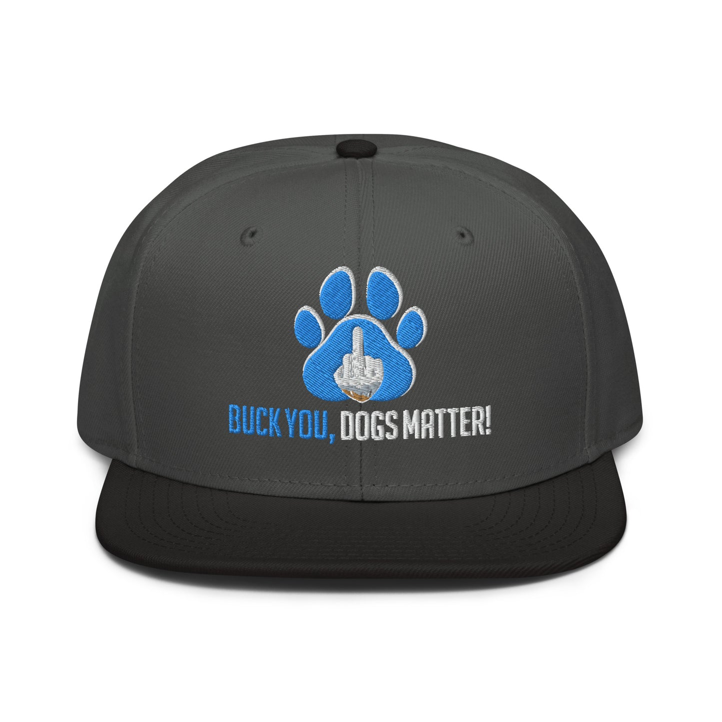 Snapback | Otto Cap 125-978