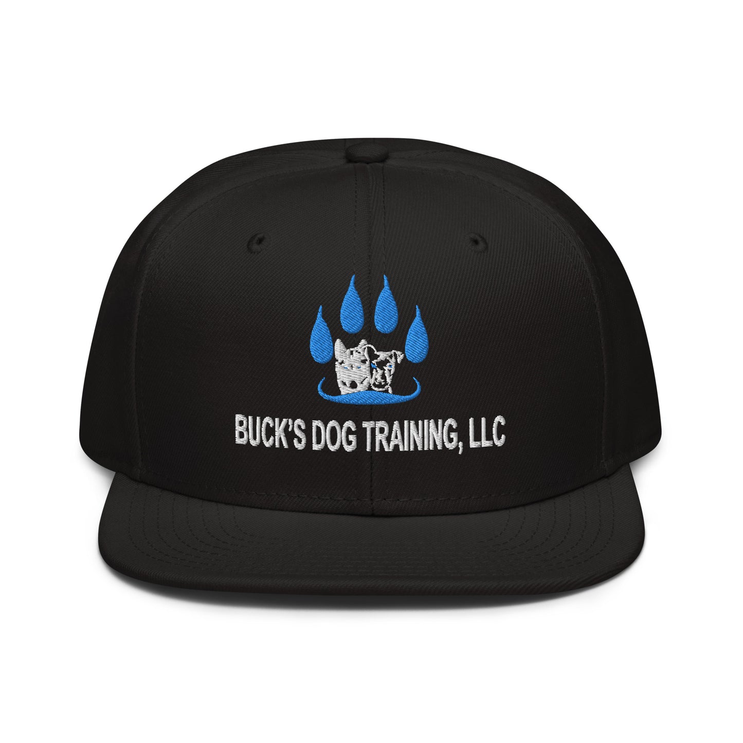 Snapback | Otto Cap 125-978