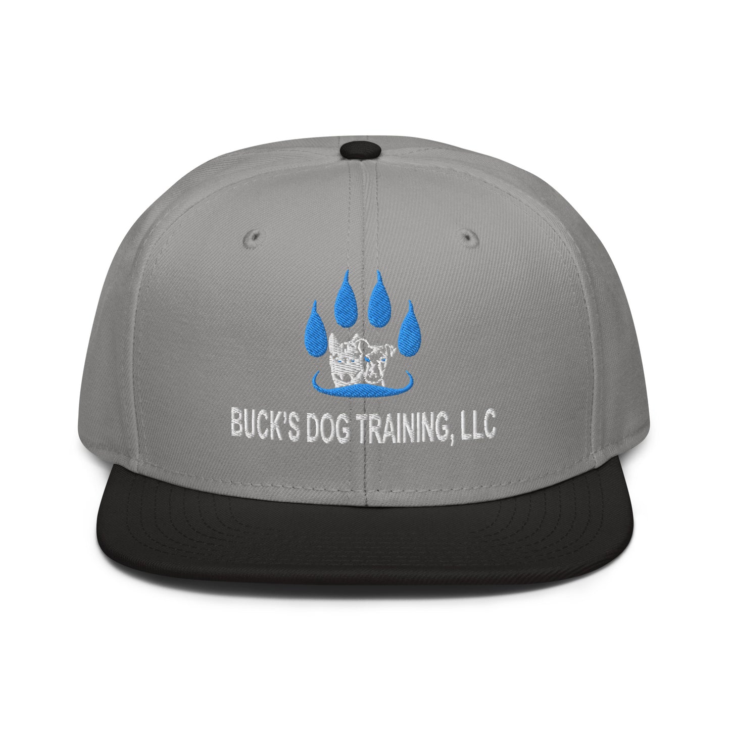 Snapback | Otto Cap 125-978