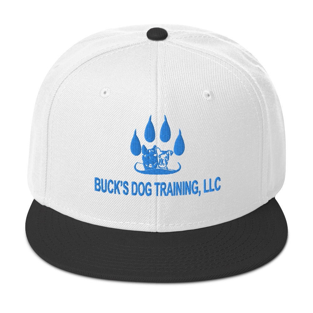 Snapback | Otto Cap 125-978