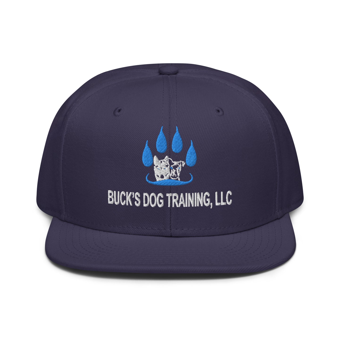 Snapback | Otto Cap 125-978