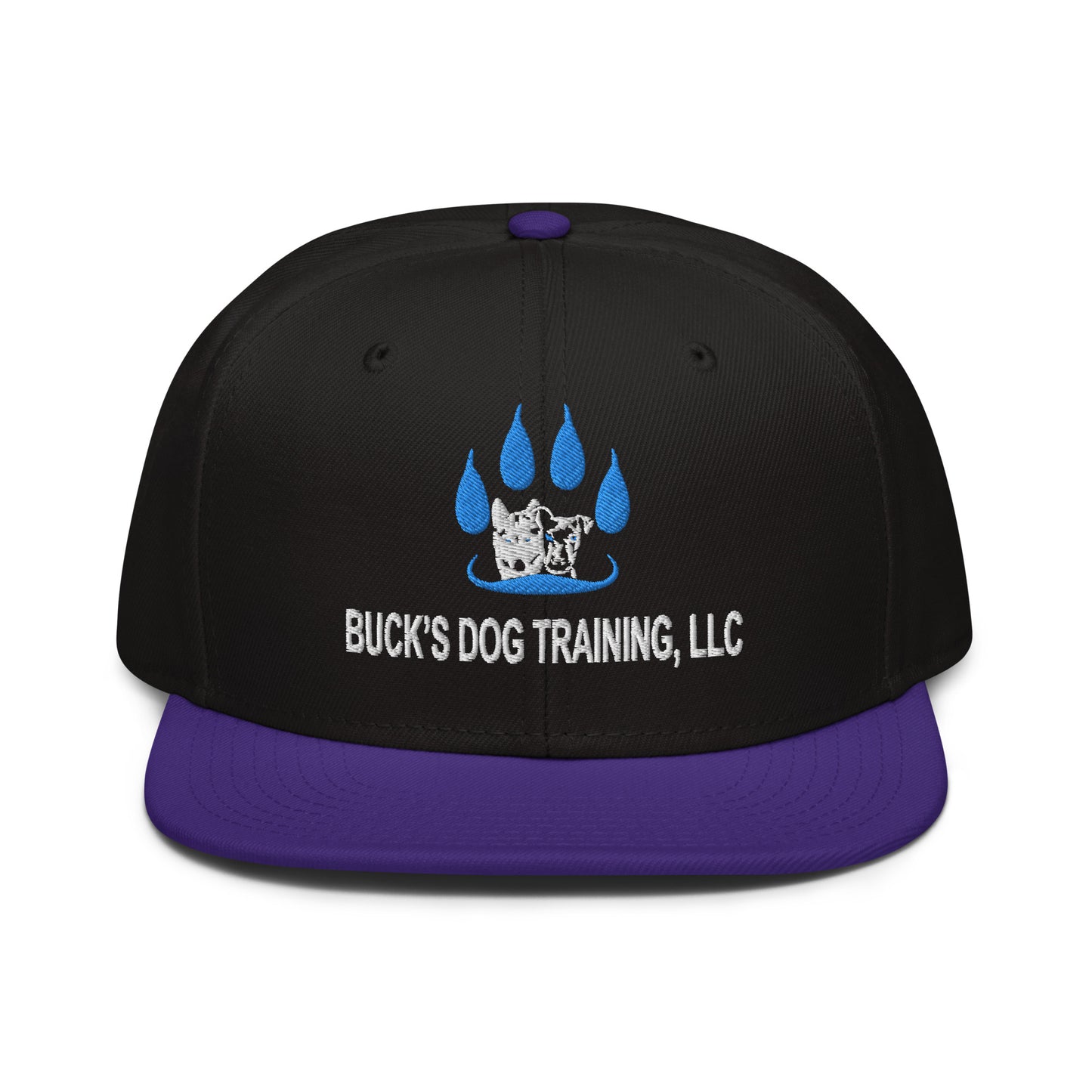 Snapback | Otto Cap 125-978