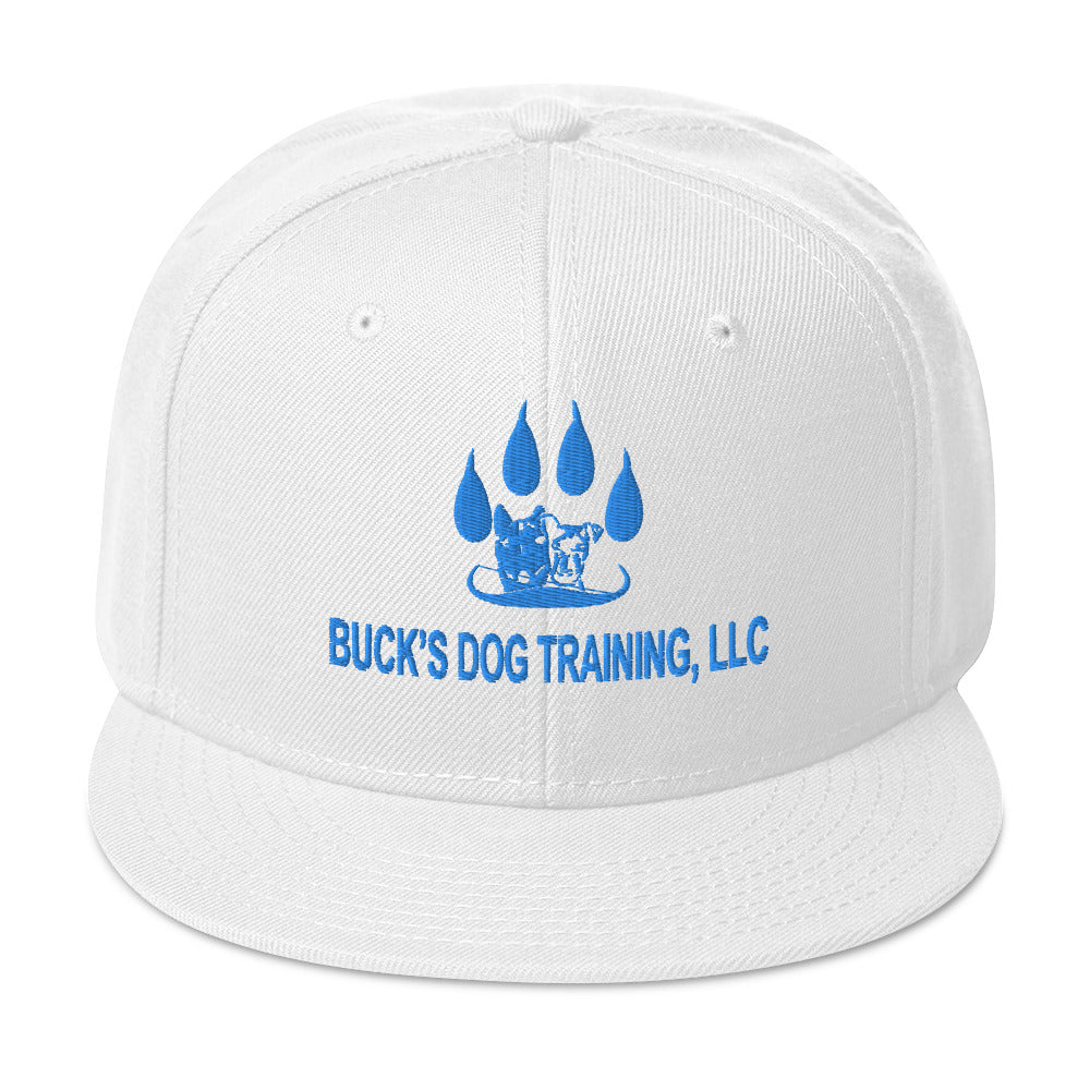 Snapback | Otto Cap 125-978